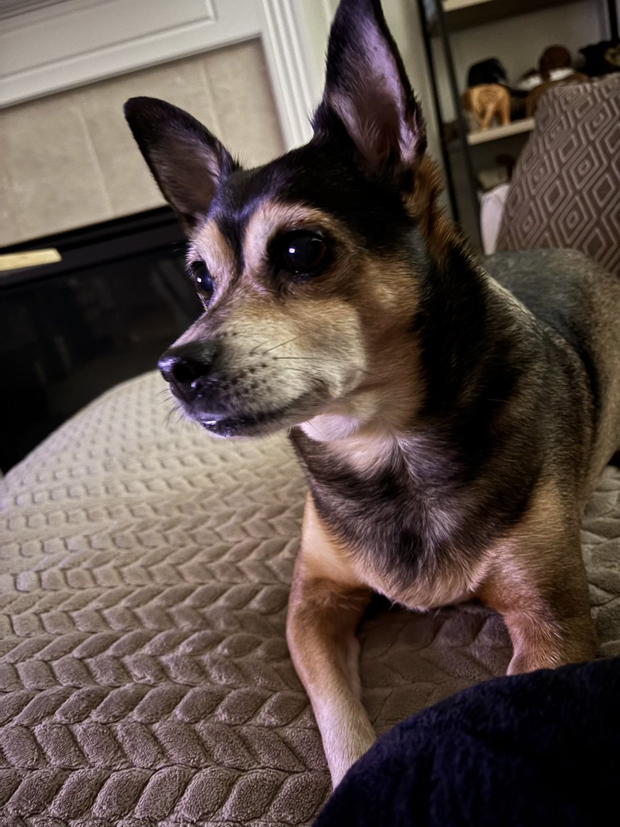 Happy Birthday Zoey!