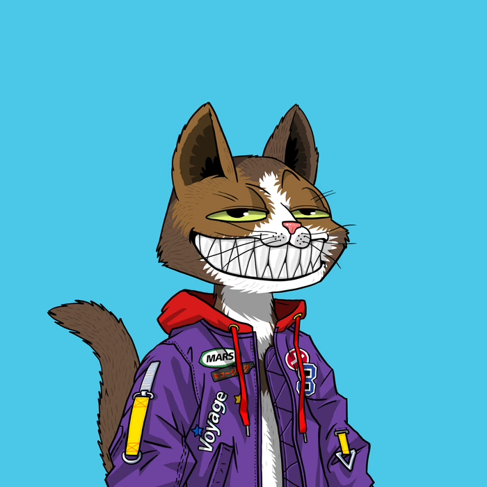 We're thrilled to share that <a href="/_funDAMENtals__/">fundamentals 💀👽🐱</a> has been chosen by our top holders and collectors to lead the Cat Sniper community project!

Stay tuned for more details coming later today!