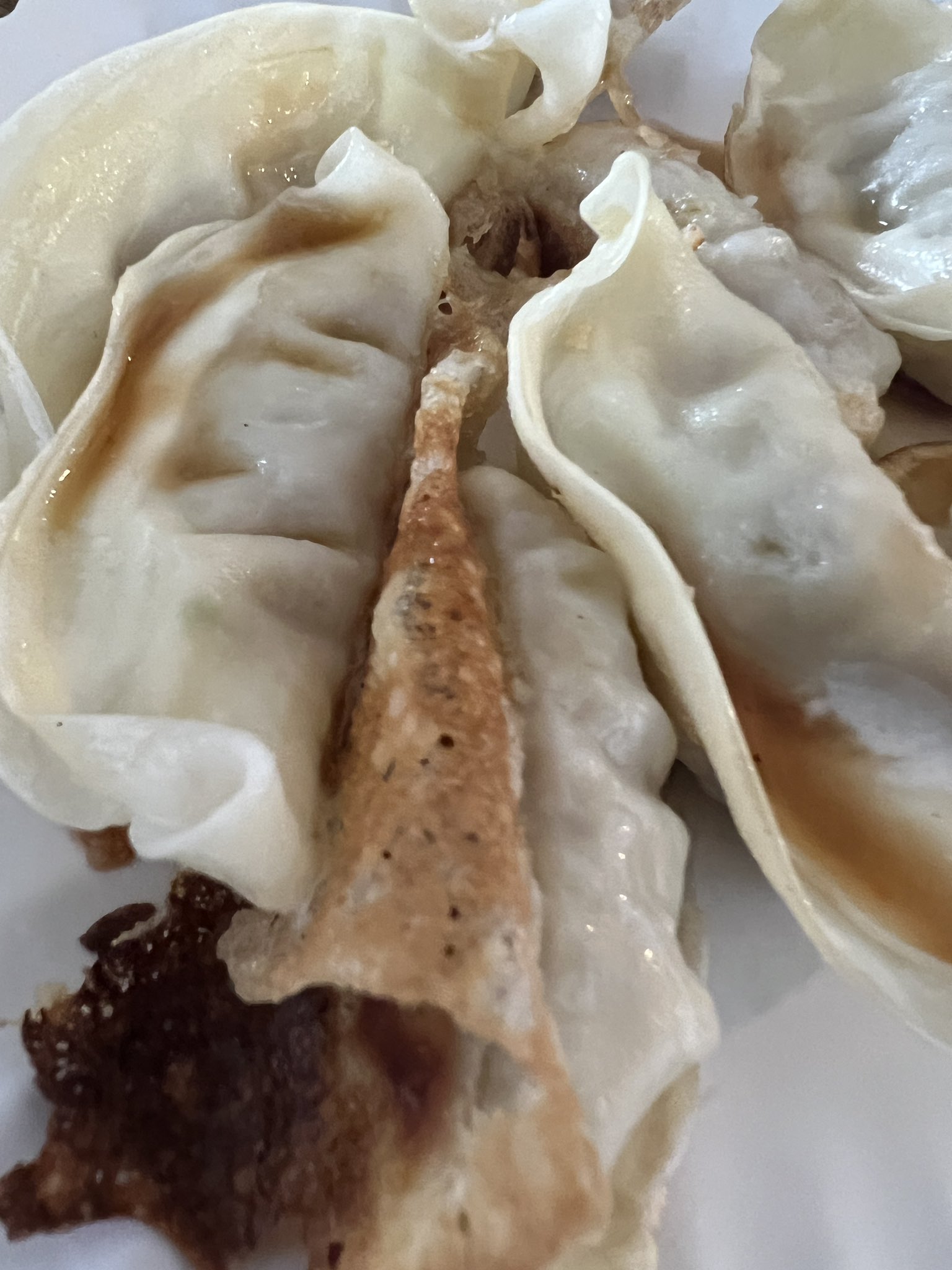 餃子食ったぞぎょーざ - Cerca / X