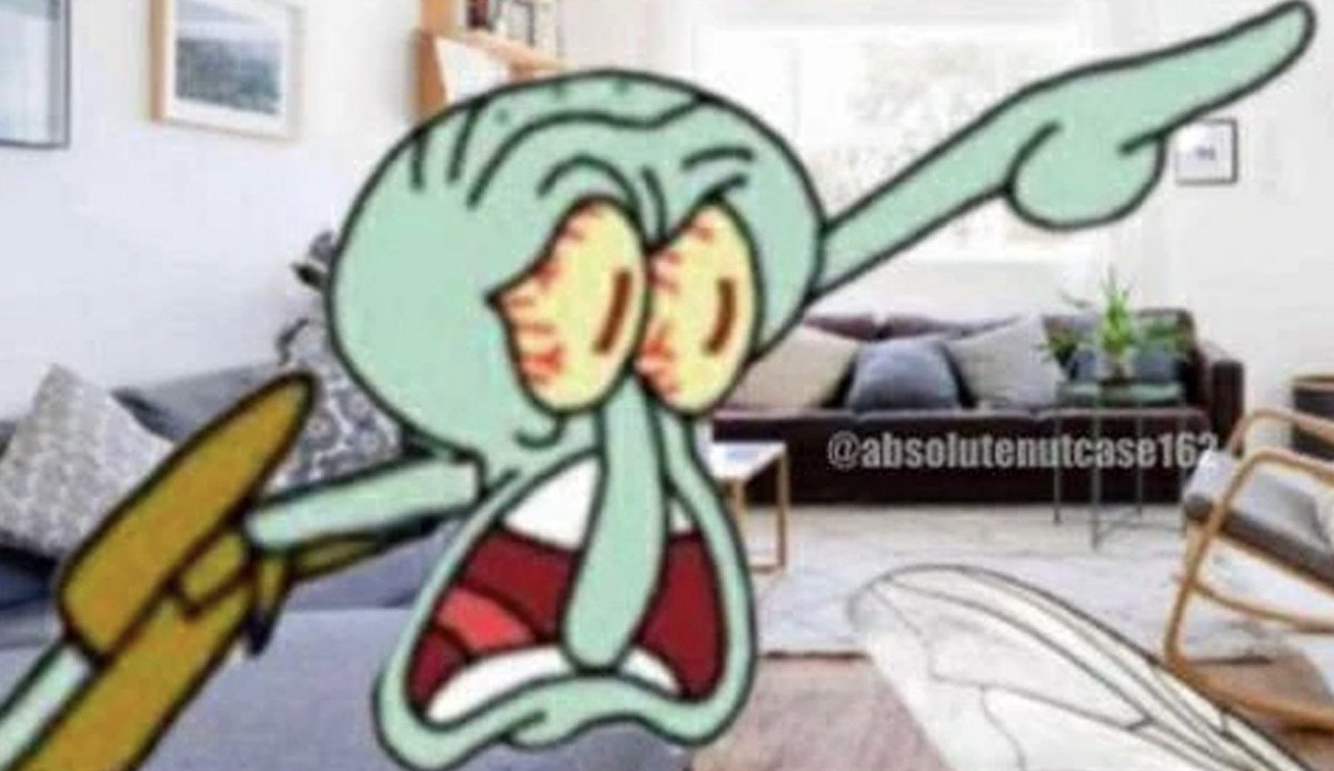 SpaceDuck tweet media