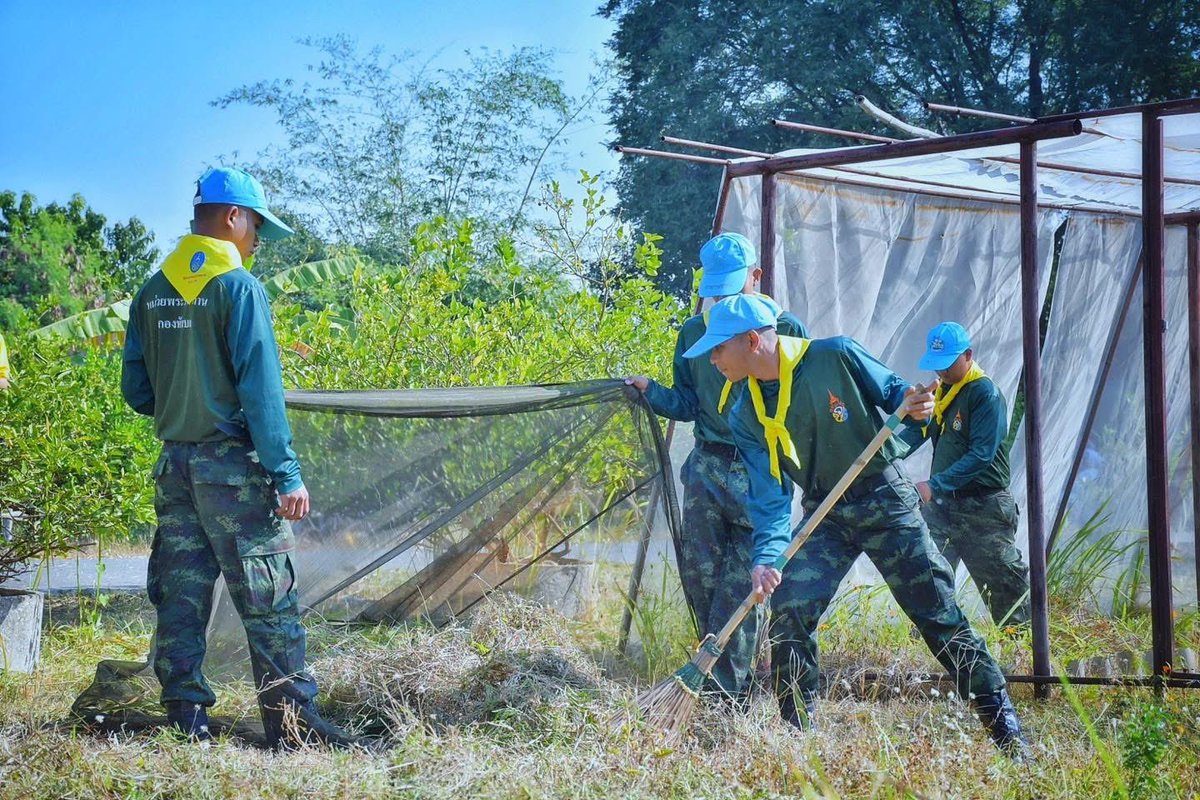 armypr_news's tweet photo. 💛จิตอาสาพัฒนาชุมชน ถวายเป็นพระราชกุศล

#กรมทหารราบที่23 จัดกำลังพลจิตอาสา ดำเนินกิจกรรมจิตอาสาบำเพ็ญสาธารณประโยชน์ "เราทำความ ดี ด้วยหัวใจ" เนื่องในโอกาสพระราชพิธีสมมงคลพระบาทสมเด็จพระเจ้าอยู่หัว ทรงเจริญพระชนมายุ 26,469 วัน เท่าพระบาทสมเด็จพระพุทธยอดฟ้าจุฬาโลกมหาราช (รัชกาลที่ 1) สมเด็จพระปฐมบรมกษัตริยาธิราชแห่งพระราชวงศ์จักรี พุทธศักราช 2568 วันที่ 14 มกราคม 2568 ในการพัฒนาปรับปรุงภูมิทัศน์แหล่งการเรียนรู้ภายในชุมชน เพื่อเฉลิมพระเกียรติและถวายเป็นพระราชกุศล ณ ค่ายสุรธรรมพิทักษ์ อ.เมือง จ.นครราชสีมา

#RTA  #กองทัพบก  #กองทัพภาคที่2 #ทหารเป็นที่พึ่งของประชาชนในทุกโอกาส