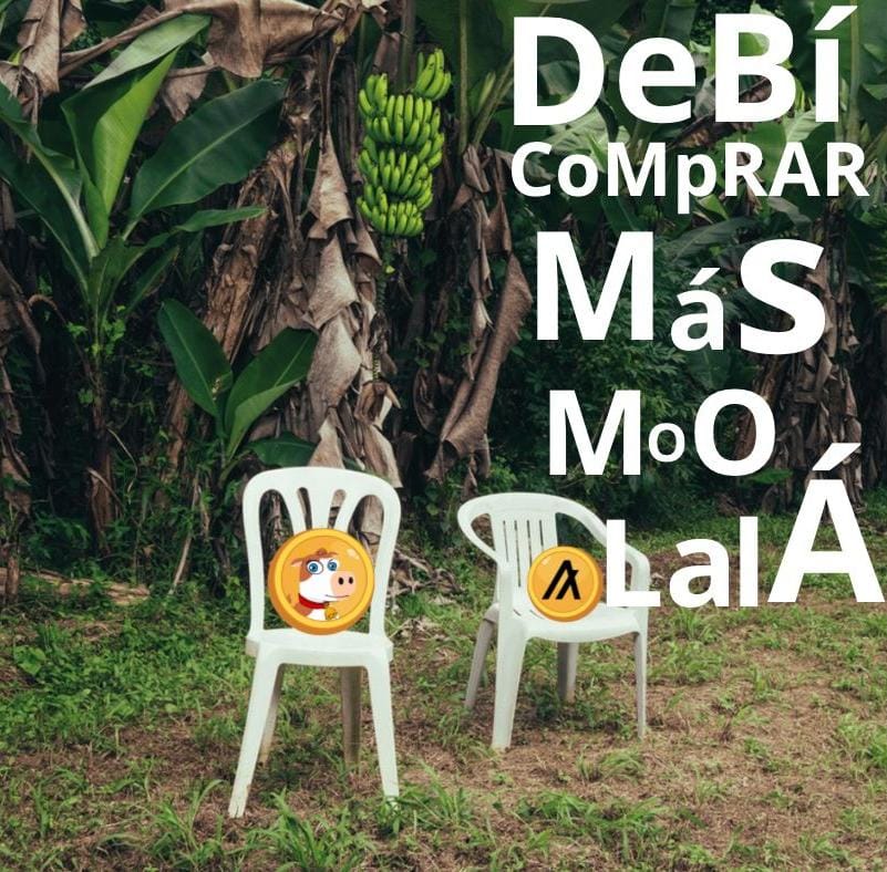 realmoolala's tweet photo. $Moo ๐ฑ๐๐ฏ๐ ๐๐ผ๐ ๐ฝ๐ฅ๐ฎ๐ฅ ๐ ๐ฎ๐ฆ $๐บ๐ข๐ผ
๐ฐ๐ฎ๐ต๐ท #BadBunny #PuertoRico #Moolala #Algorand
https://t.co/WQljcolWCg https://t.co/OuN814vgXg