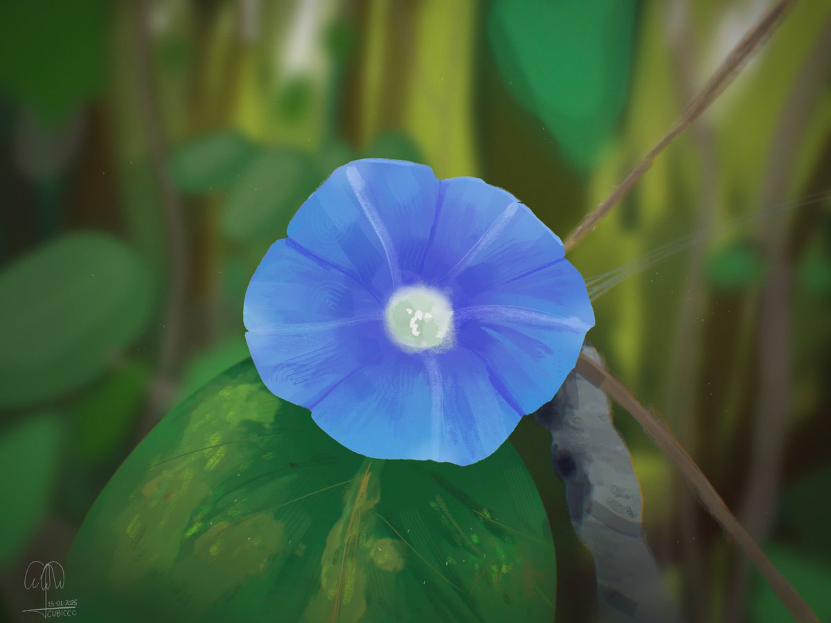 CUBERRY ✨ tweet media