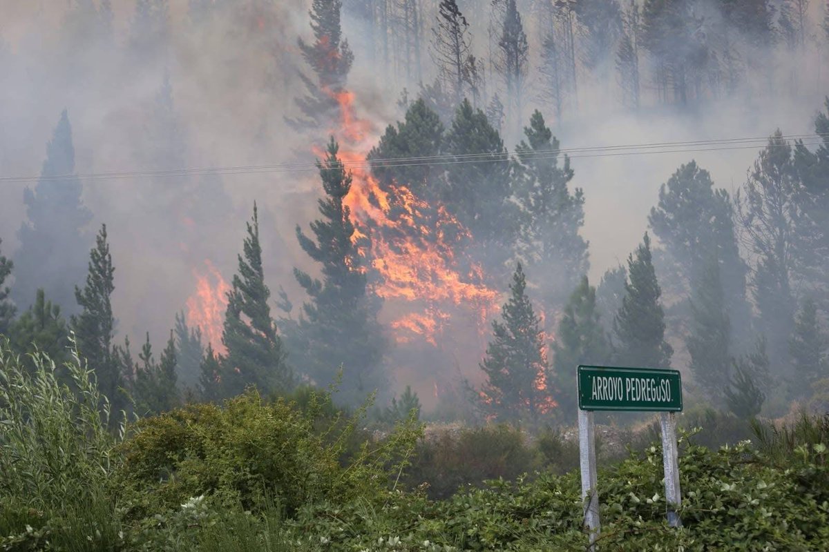 El incendio forestal en Epuyén, Chubut, sigue activo y arrasó con 2.000 hectáreas, varias casas y una escuela. Hay decenas de evacuados. 

Se inició por causas humanas. El viento y los pinos exóticos ayudaron a su expansión.

La crisis climática exige rápida acción. Y penalizar