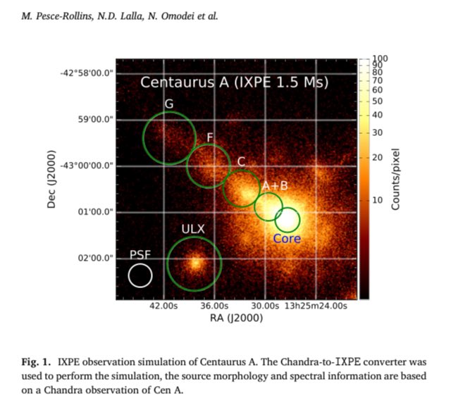 Now this is top notch