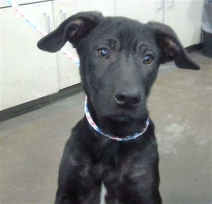 Suspense tweet media