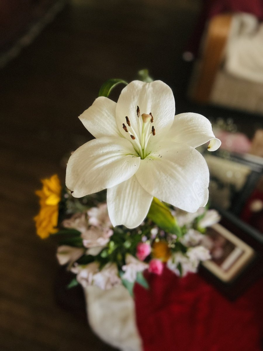 Cindy Legarreta (@cindylegarreta) on Twitter photo 