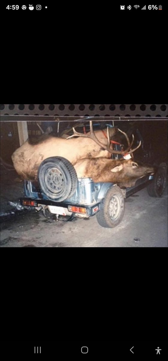 Way cooler than ducking a jeep ✌🏼
#elkaholic #duckduckjeep #elkaddicts