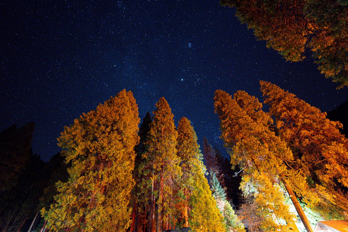 A_Enajibi's tweet photo. From the hotel parking lot at Yosemite. Shot on Sony a7iv https://t.co/nPUc8g39kz