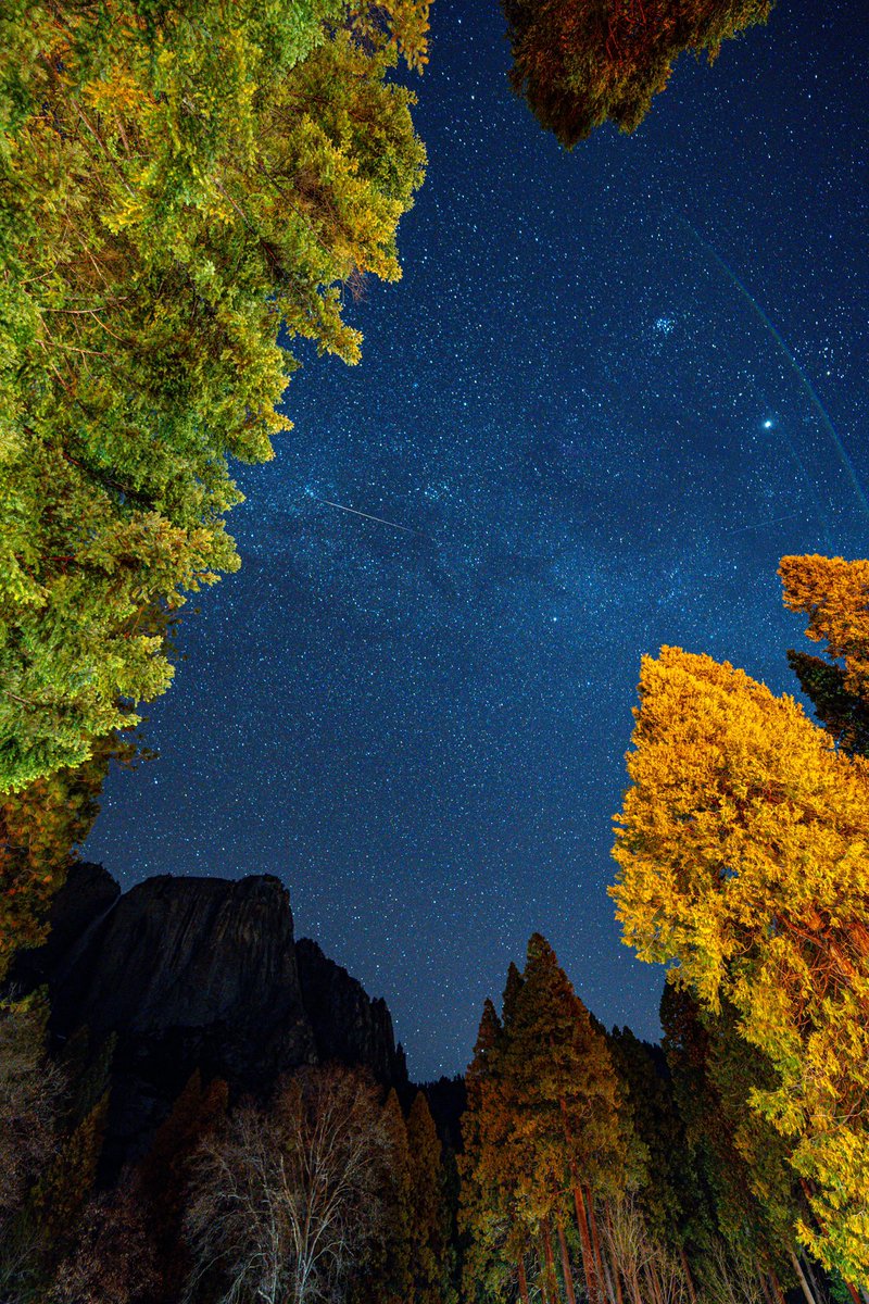 A_Enajibi's tweet photo. From the hotel parking lot at Yosemite. Shot on Sony a7iv https://t.co/nPUc8g39kz