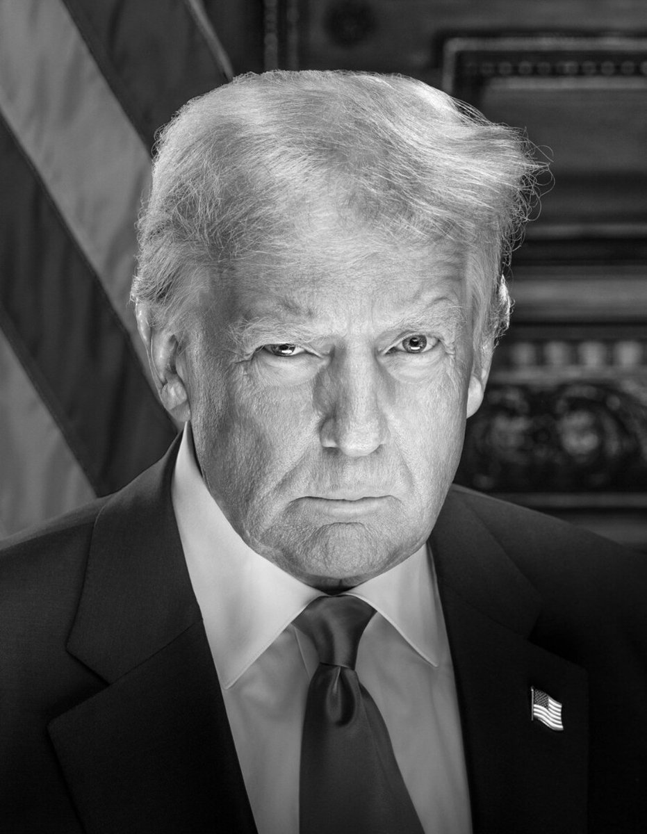 realMAGAForce's tweet image. The Official Presidential Photo of 47
Donald J Trump @realDonaldTrump
President of the United States
MAKE AMERICA GREAT AGAIN!