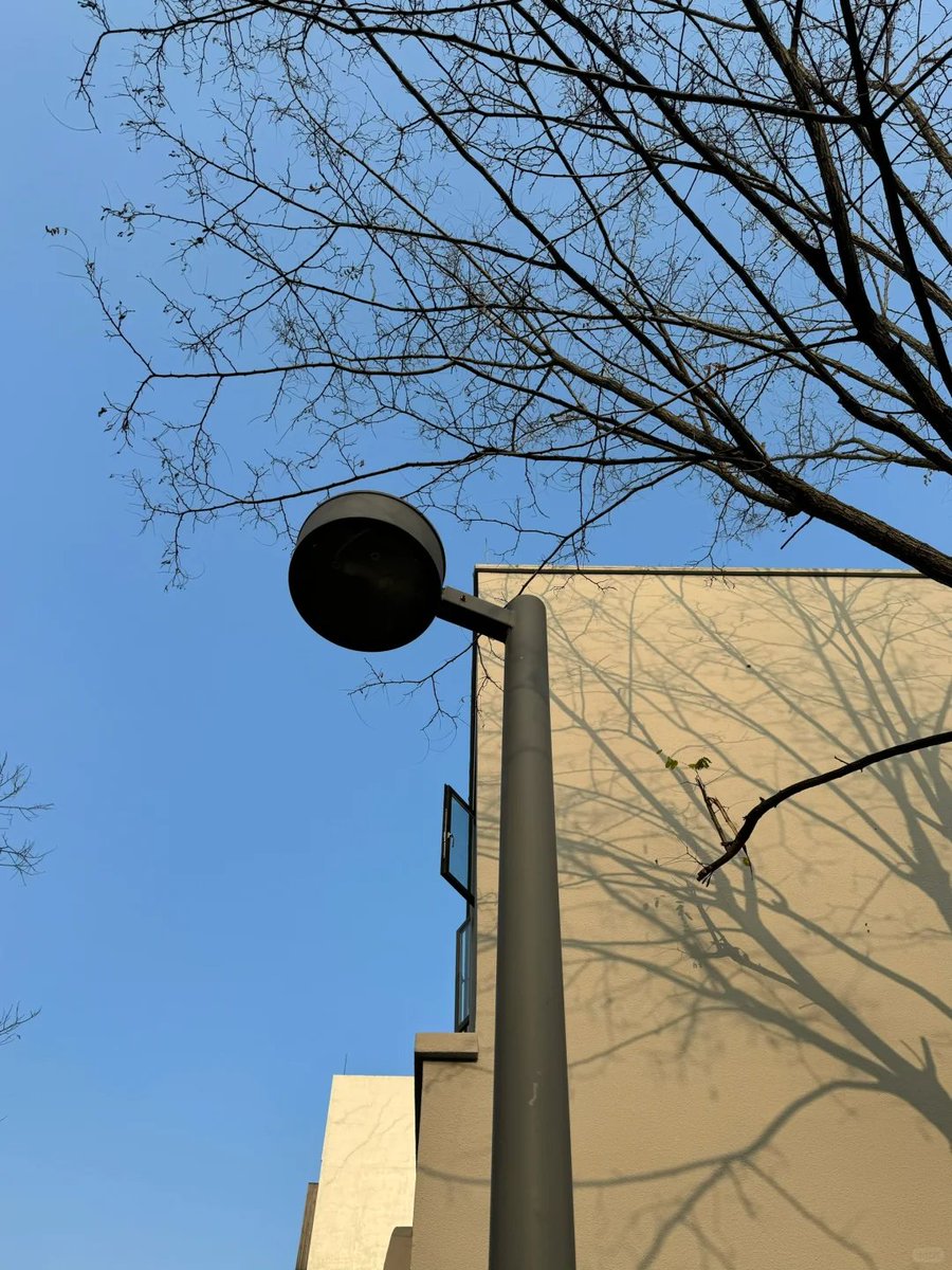 fml12241's tweet image. This winter is not too cold #Winter #NotTooCold #Seasons #Weather