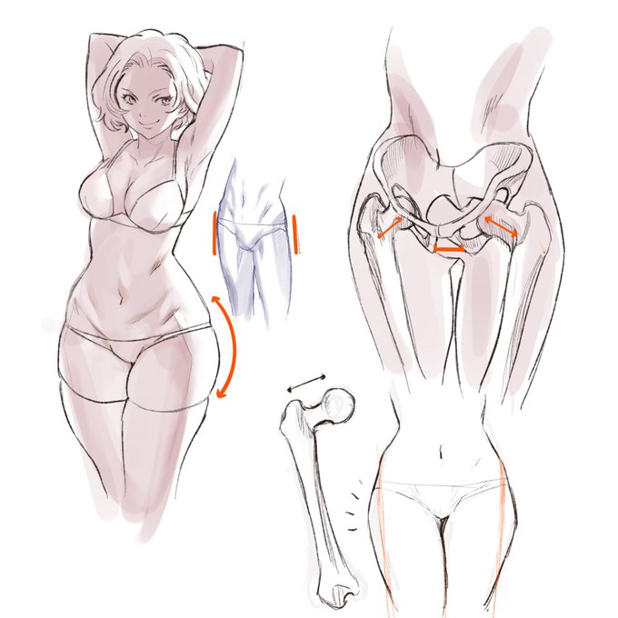 骨の大きさから違うん 