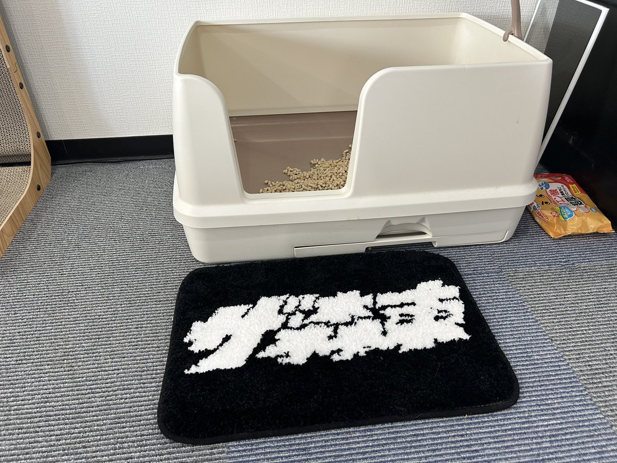 フロアマットが可愛すぎて届いてからずっと使ってます。