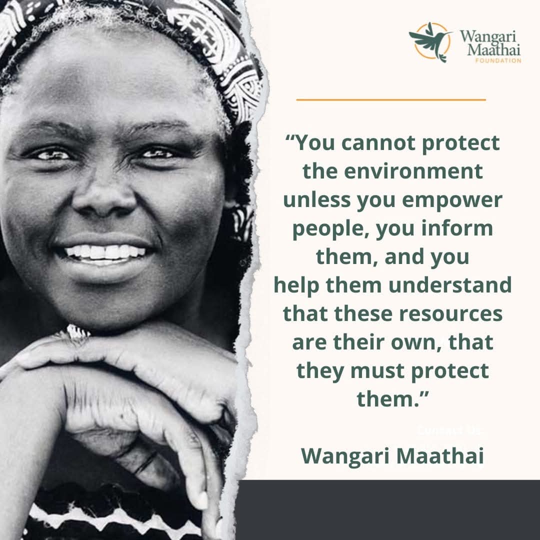 “You cannot protect the environment unless you empower people, you inform them, and you help them understand that these resources are their own, that they must protect them.” Wangari Maathai.

#PowerOfOne #Courageousleadership #BeaHummingbird #Tbthursday