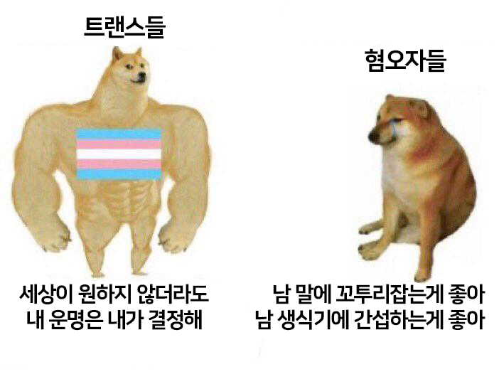 ForeignTransMem's tweet photo. https://t.co/RPJJpRV5N6