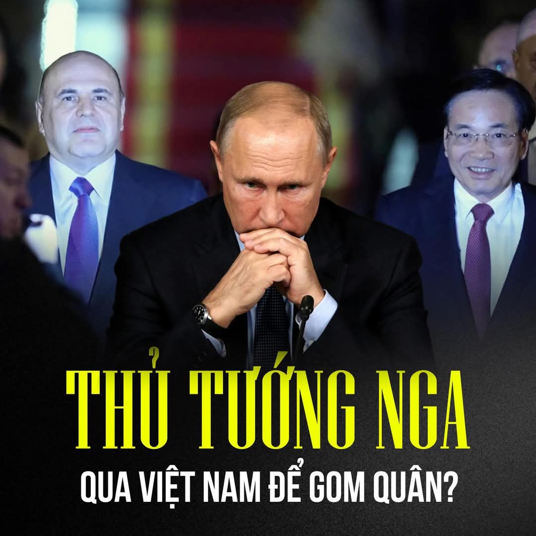 Tri Nguyen (Ông Tám) tweet media