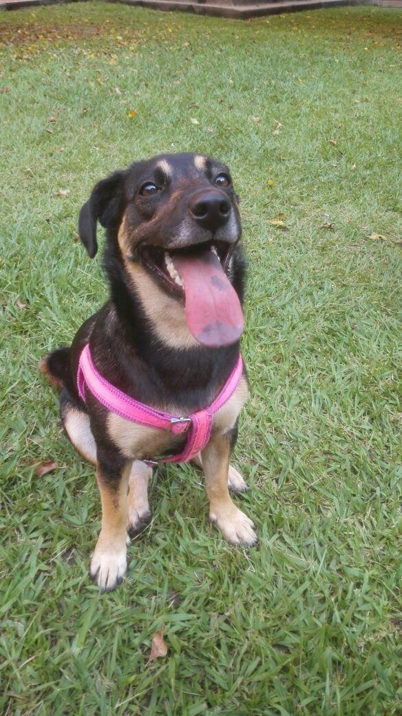 Marcebesa's tweet photo. @GRamirezF_D @Petunia45324719 Honey https://t.co/5OQxWtBqje