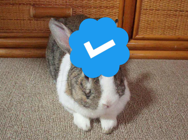 Blue check incoming ☑️🐰

Cooking or cooked?🍳