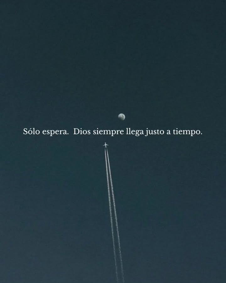 el Siervo tweet media