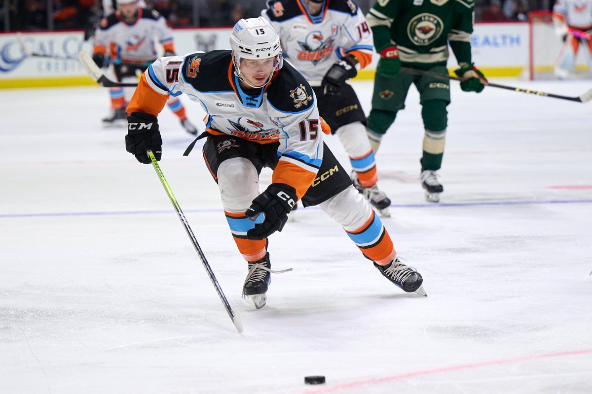 SDGullsAHL's tweet photo. Don't turn that dial, we are back for some more hockey!
📺: https://t.co/AIqbqw14dj & @KUSINews
📻: https://t.co/Zex9KJhaze
#LetsGoGulls | #IAvsSD | @FloHockey https://t.co/0nN3bEYEMR
