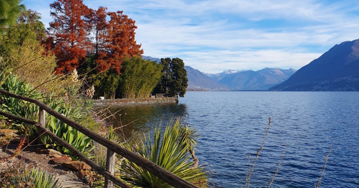 Le Isole di Brissago non andranno più in letargo
L'apertura invernale (4 fine settimana) ha raccolto un pieno di consensi, con punte di 250 visitatori degne dell'alta stagione.
bit.ly/4gSCwYN
