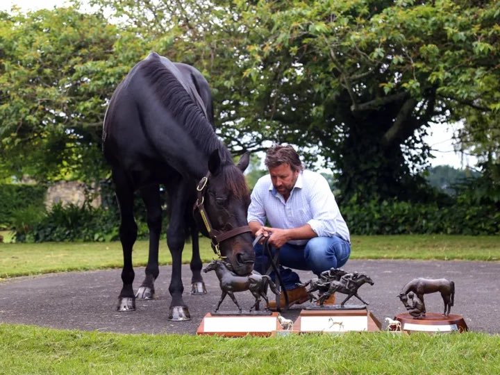 Savabeel’s induction into the New Zealand Racing Hall of Fame this May is a very special achievement and a great nod to our industry and this breed-shaping stallion 💚 On behalf of the Chittick family, thank you very much to everyone who has supported Sav’s incredible journey!