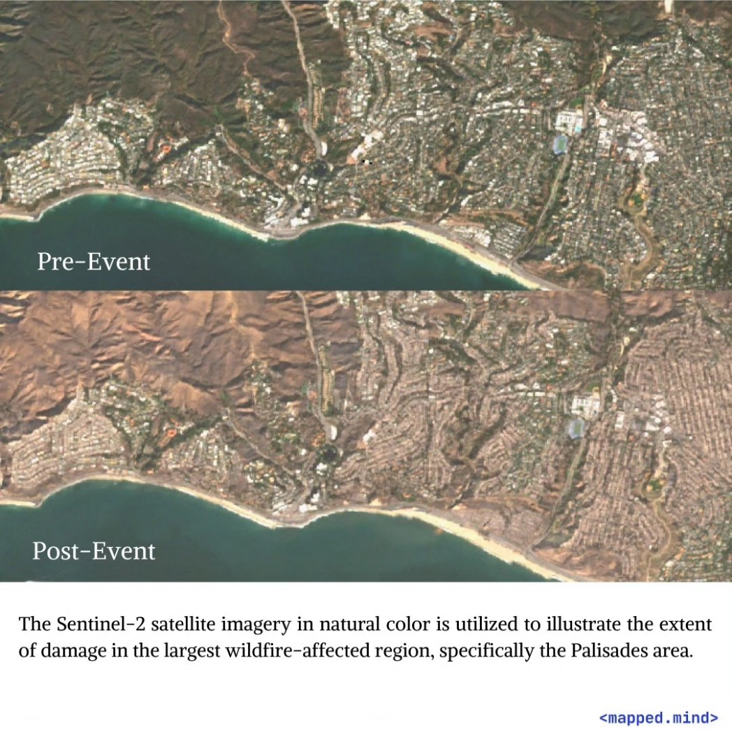 mappedmind tweet media