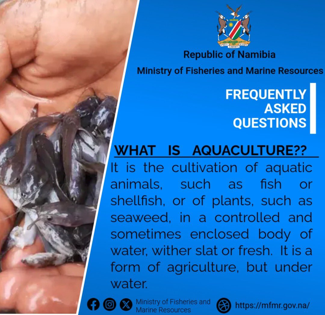 Ministry of Fisheries & Marine Resources, Namibia tweet media