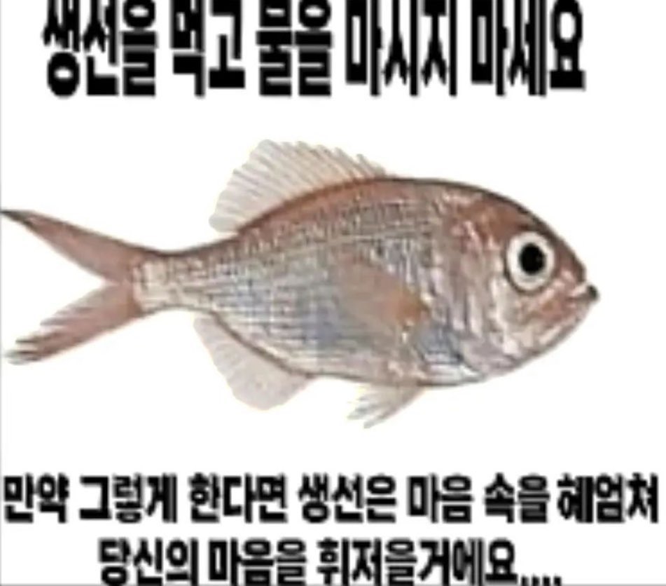찬우 tweet media