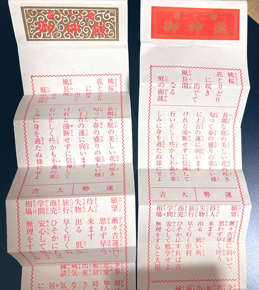 去年と今年(別の神社)の初詣で引いたおみくじ、同じ22番だった
こんなことあるんだね… 