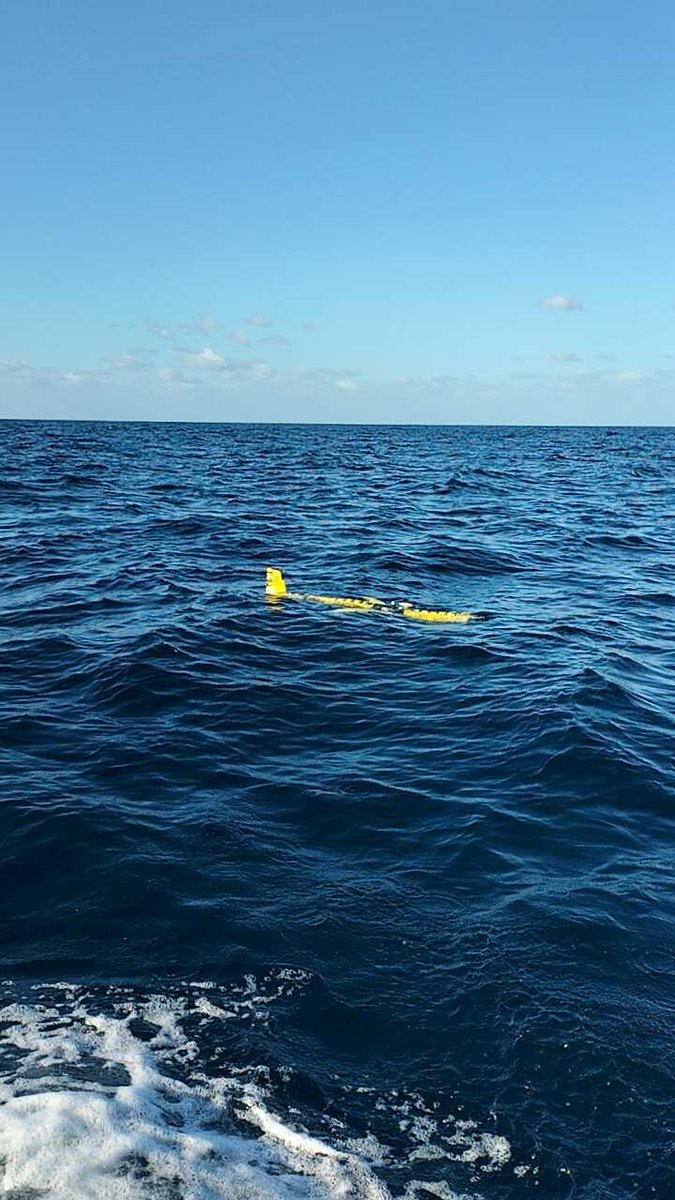 🌟This week, we launched the first 2025 #Glider mission in Palma Bay, marking the start of a new #CANALES mission 🌊

Over the next 45 days, it will monitor the Ibiza and Mallorca Channels, equipped with CTD, FLBBCD, OXY &amp; PAR sensors.

Stay tuned for updates!
#ICTSNews