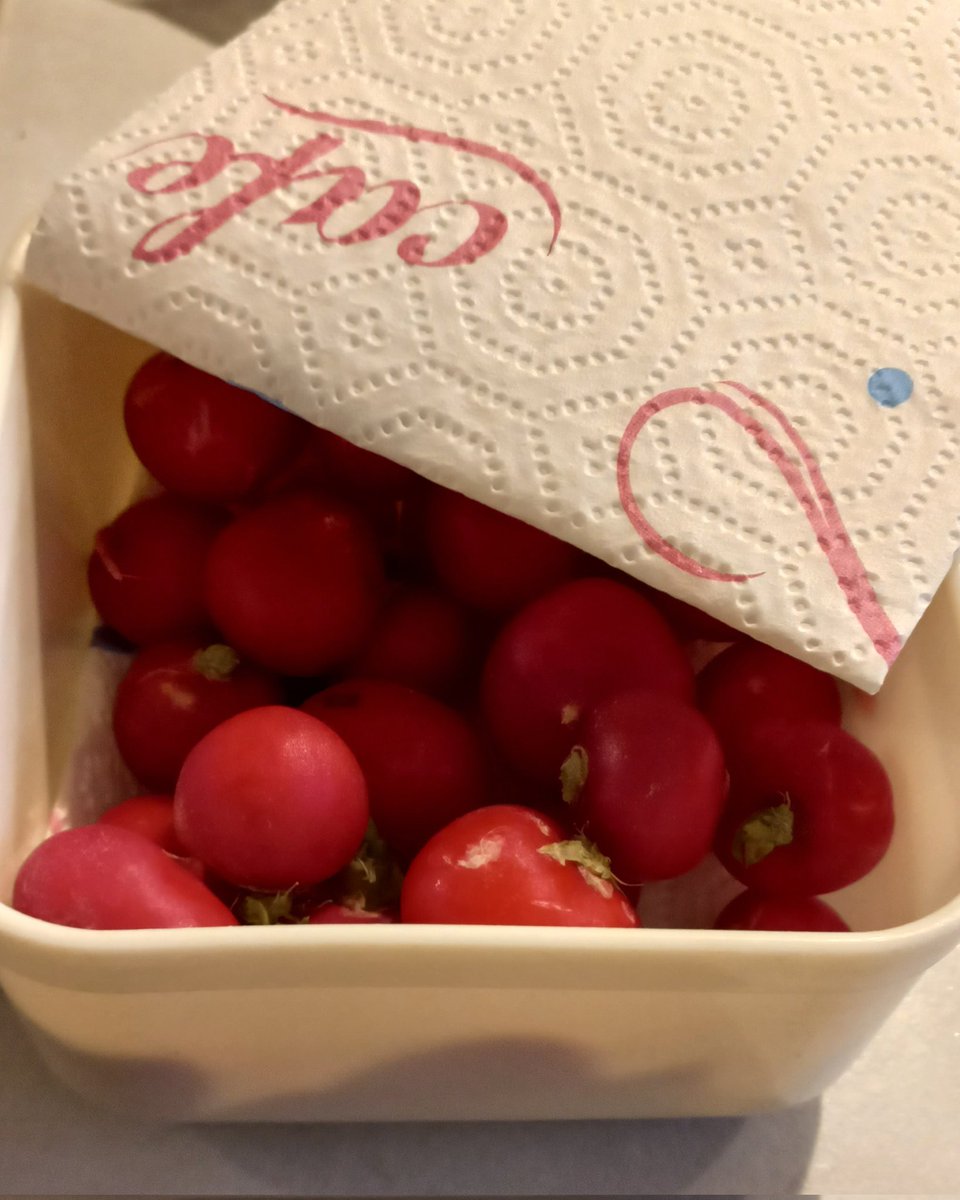 Kris10aaa's tweet photo. Als ik radijzen gewoon bewaar dan blijven ze maar een paar dagen goed.
Doe ik ze in een afgesloten bakje met keukenpapier er onder en er boven dan blijven ze zeker 2 weken goed.

Zo bewaar ik ook zakjes sla, stop gewoon velletjes keukenpapier in het zakje

#bewaartip #budgettip https://t.co/AJPCfVpB4q