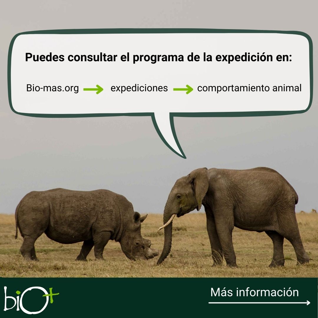 Laura Camón 🐵🧠🌍🐙🦄 tweet media