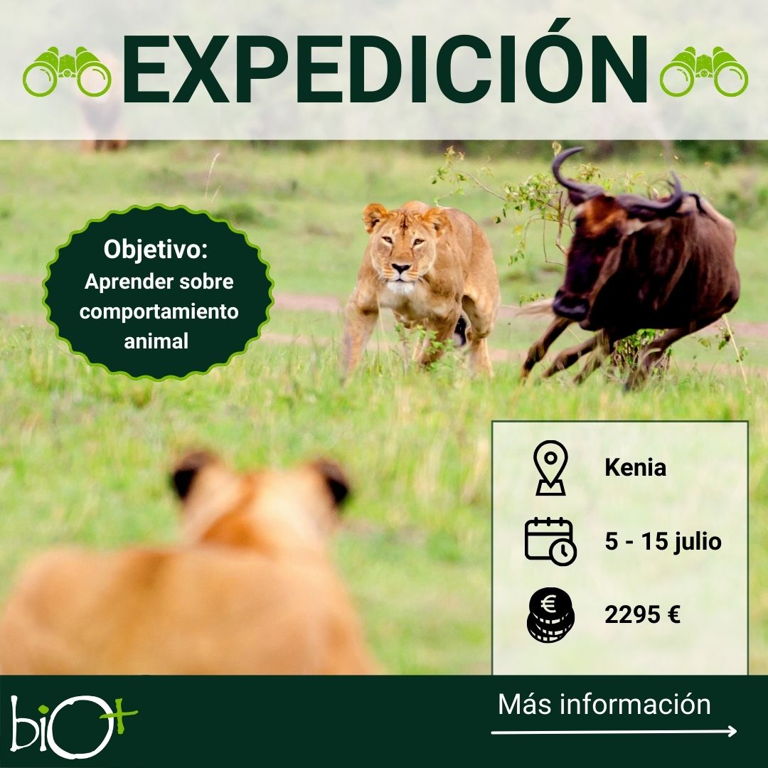 Laura Camón 🐵🧠🌍🐙🦄 tweet media