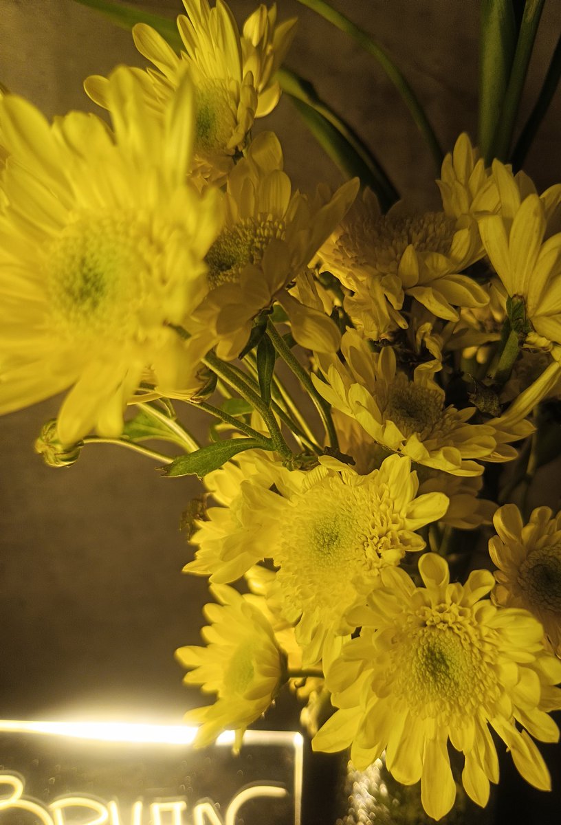 yan71x's tweet photo. Bought myself flowers for the first time so it doesn't get lonely anymore 💐 wanted to get more colors but figured yellow would look the best when it's dark, hope it doesnt die of cold. https://t.co/VYl3a0VeyC