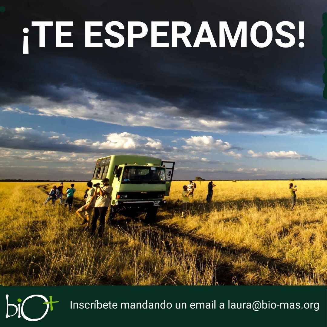 Laura Camón 🐵🧠🌍🐙🦄 tweet media