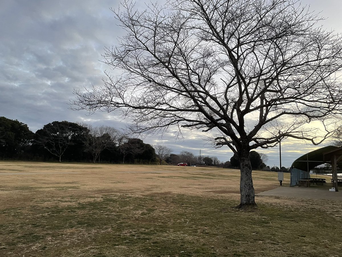 0412hiroshi's tweet photo. アイマスコラボの成田ゆめ牧場にてソロキャン🐄
平日だから広大な芝生サイトは貸し切り状態で自分しかいない
特典の萩のシェラカップも貰えましたー https://t.co/PmBK6AK4i8