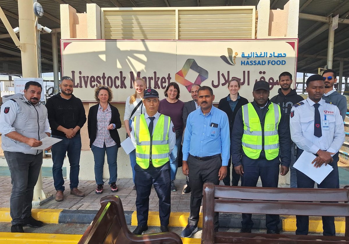 Animals' Angels Middle East tweet media