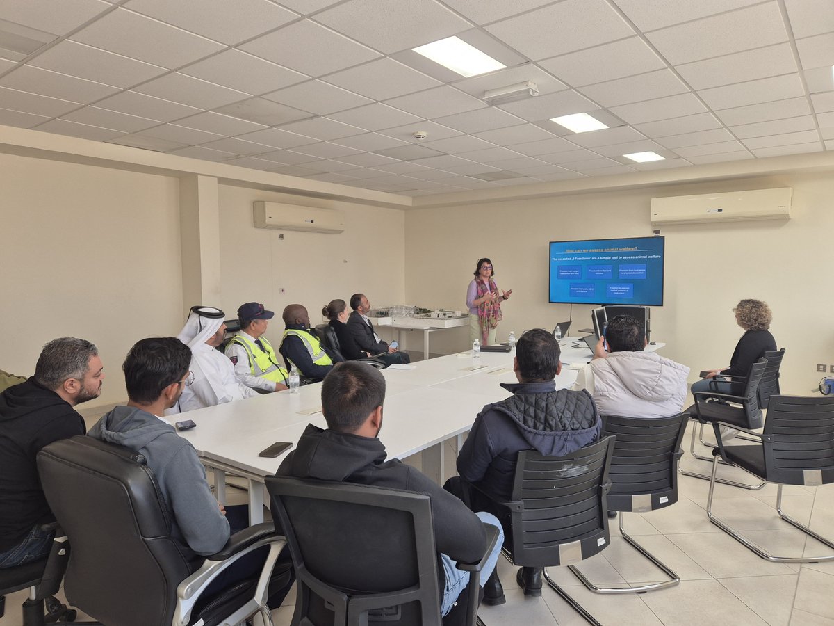 Animals' Angels Middle East tweet media