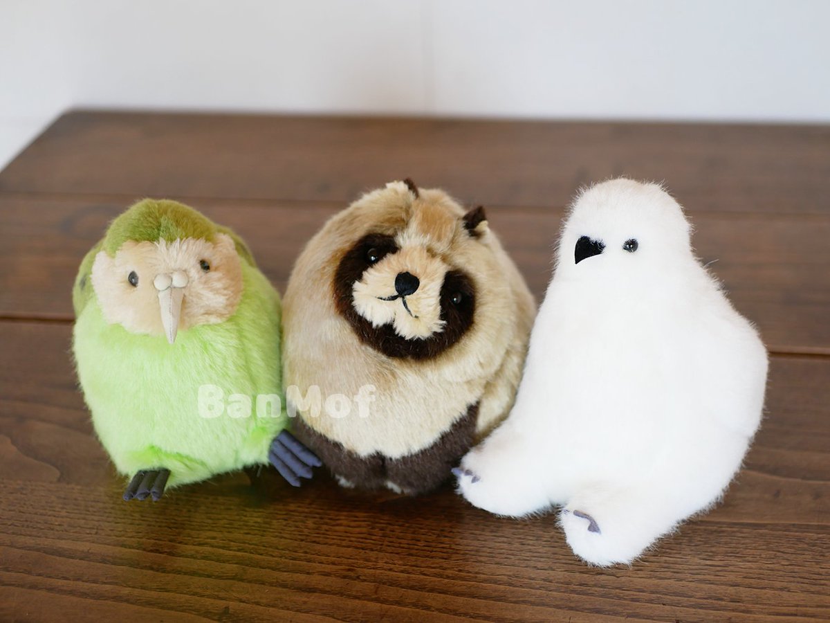 無事に届いているようで良かった！ 次はワンフェスだ…