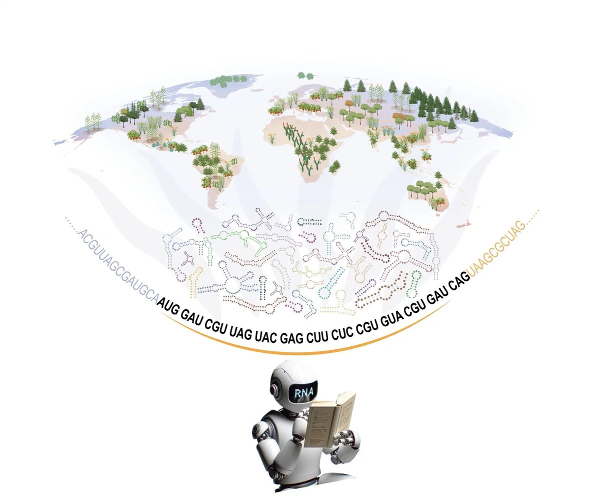 Global Plant Council (@globalplantgpc) on Twitter photo AI model can translate the RNA language of plant life buff.ly/4acS333 via <a href="/JohnInnesCentre/">John Innes Centre</a> #PlantScience AI model can translate the RNA language of plant life buff.ly/4acS333 via <a href="/JohnInnesCentre/">John Innes Centre</a> #PlantScience