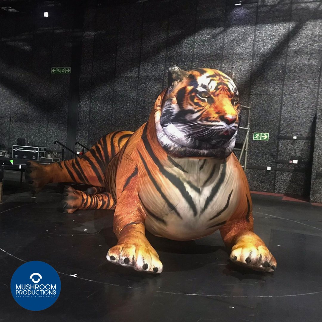 Easy tigers! We’ve been busy prepping for a truly epic weekend of exciting shows.

So, any guesses whose rehearsal space this is?
Hint: She’s getting hotter!

#guesswho #eventproduction #eventprofs #MushroomProductions #Concerts