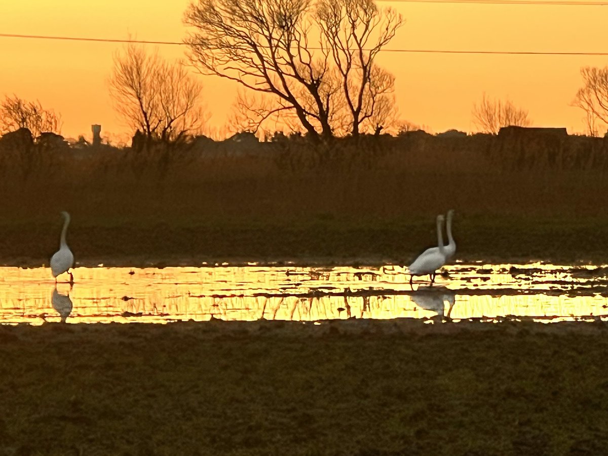 Gareth Ward tweet media