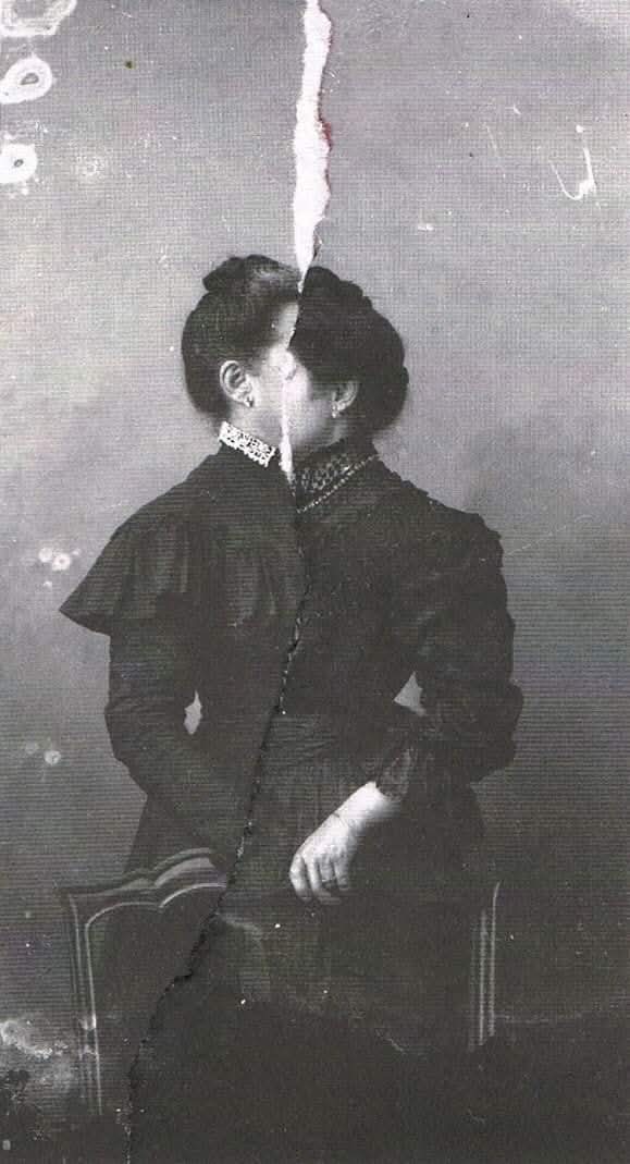 j.j. de oliveira tweet media