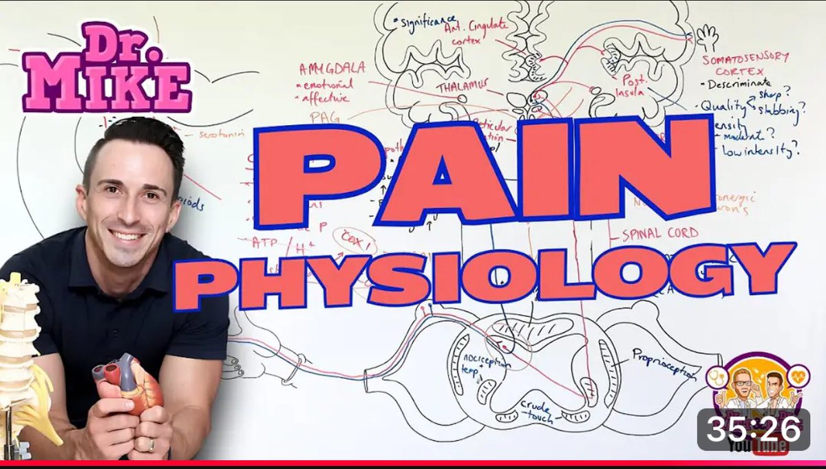 drmiketodorovic's tweet photo. Here’s my full length lecture on Pain (Nociceptive) Physiology!
#MedEd #Pain #MedTwitter 
https://t.co/nDQU2FPvG9 https://t.co/LPv9wJhb84