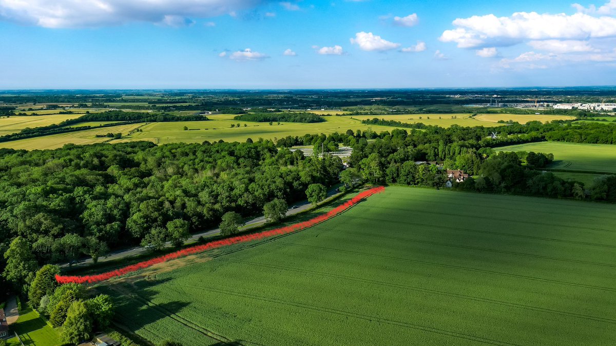 The “GCP spokesperson” claims in <a href="/Cambslive/">Cambridgeshire Live</a> that “The on-road options have been fully assessed and, if bus lanes were to be provided, they would also damage areas such as Madingley Wood, an ancient woodland and site of special scientific interest, and the setting of the American