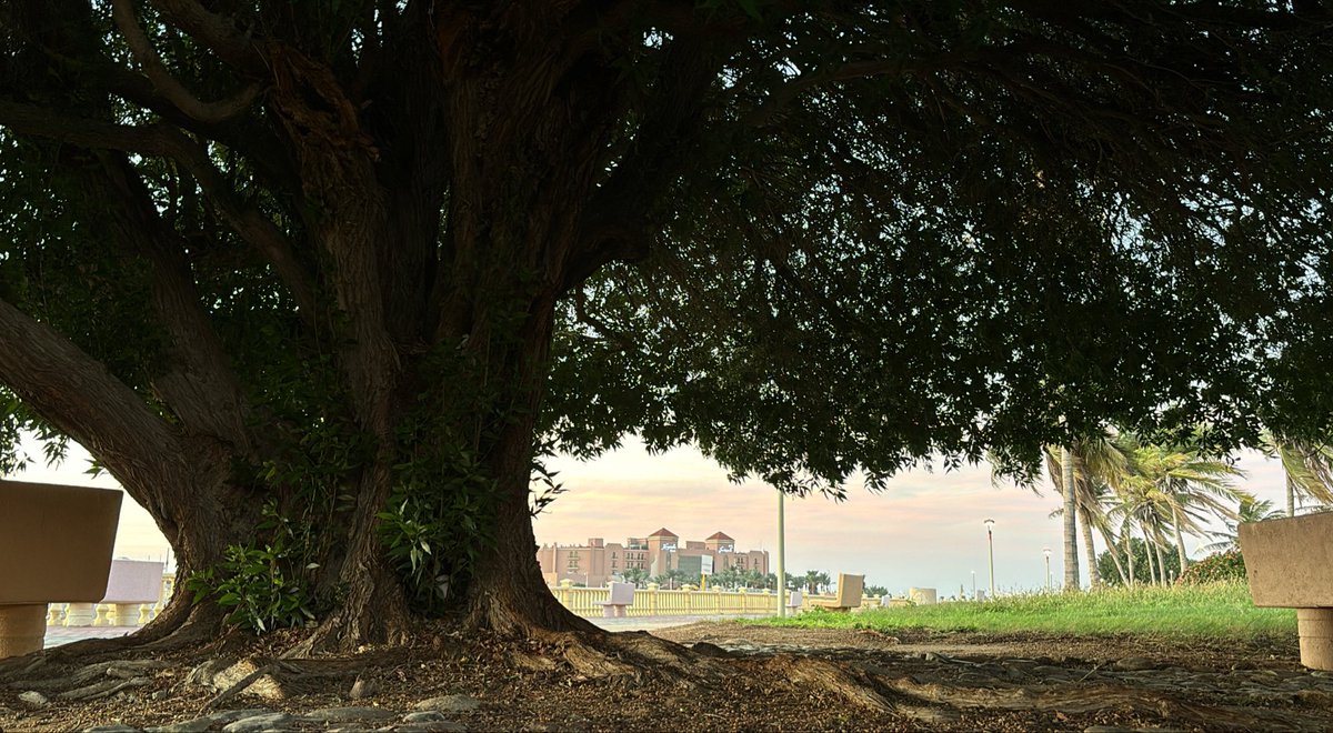 يا قِفارًا لافحاتٍ ما بها من نجيٍّ، يا سكون الأبد