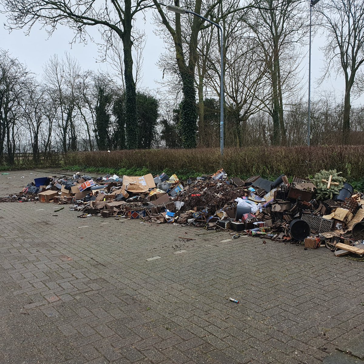 vester71 tweet media