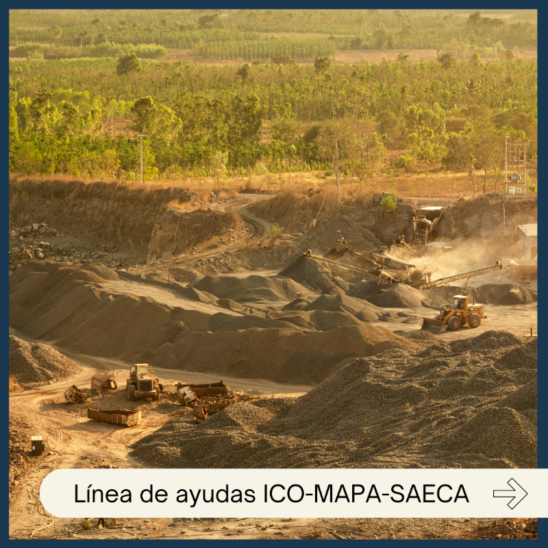 gobmapa's tweet photo. 📢 ¡Abrimos plazo!
Ayudas de financiación a explotaciones agrarias afectadas por la dana, por un total de 53,1 M€.
↳ 41,5 M€ para cubrir hasta el 15% del crédito @ICOgob hasta 100.000€.
↳ 11,9 M€ para subvencionar avales #SAECA
📆Plazo de solicitud hasta el 6 sept 2026.
